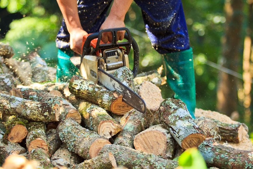 man cutting firewood for home with a chainsa